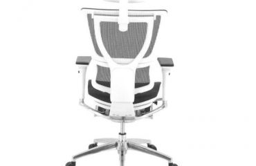 人體工學辦公椅的好處你了解嗎?